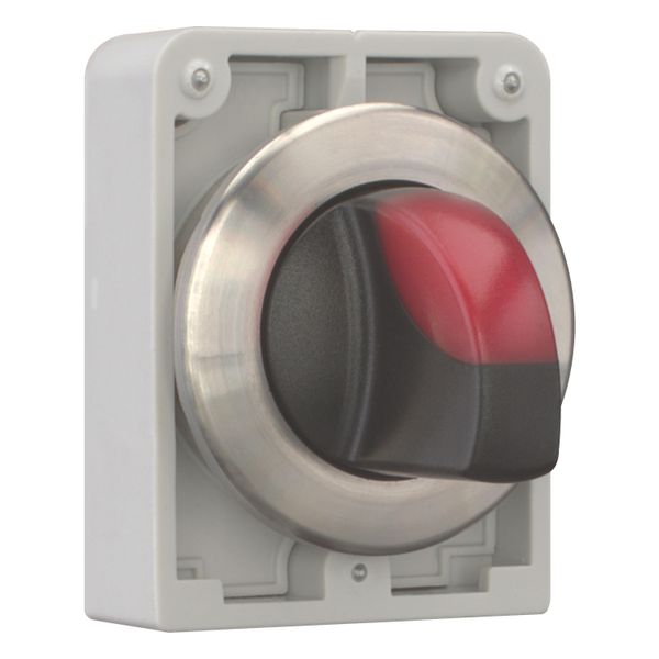 Illuminated selector switch actuator, RMQ-Titan, with thumb-grip, maintained, 2 positions, red, Front ring stainless steel image 8