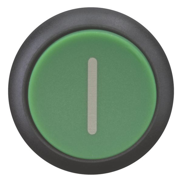 Pushbutton, RMQ-Titan, Extended, maintained, green, inscribed, Bezel: black image 11