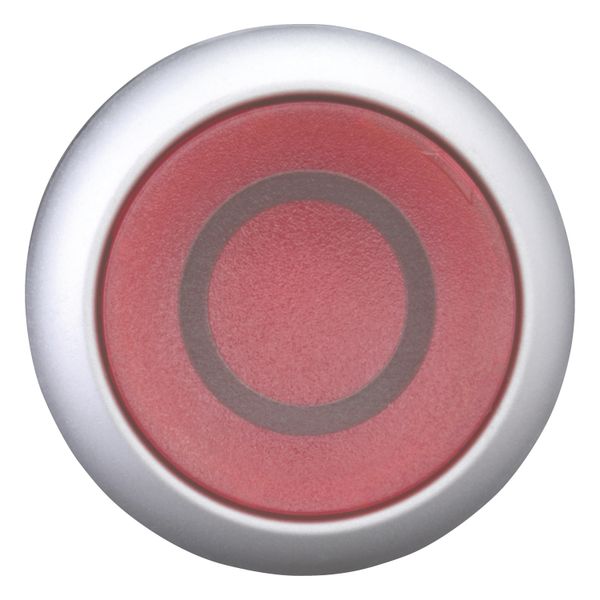 Illuminated pushbutton actuator, RMQ-Titan, Flush, momentary, red, inscribed, Bezel: titanium image 10