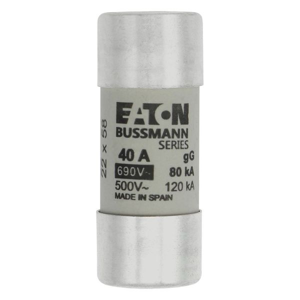 Fuse-link, LV, 40 A, AC 690 V, 22 x 58 mm, gL/gG, IEC image 5