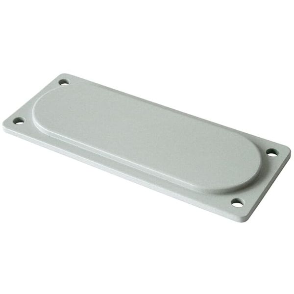 Plastic Blank plate for B-flange image 1