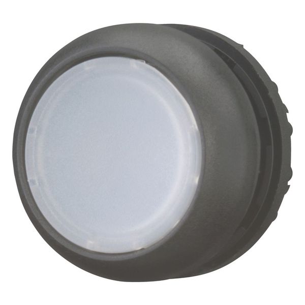 Illuminated pushbutton actuator, RMQ-Titan, Flush, momentary, White, Blank, Bezel: black image 6