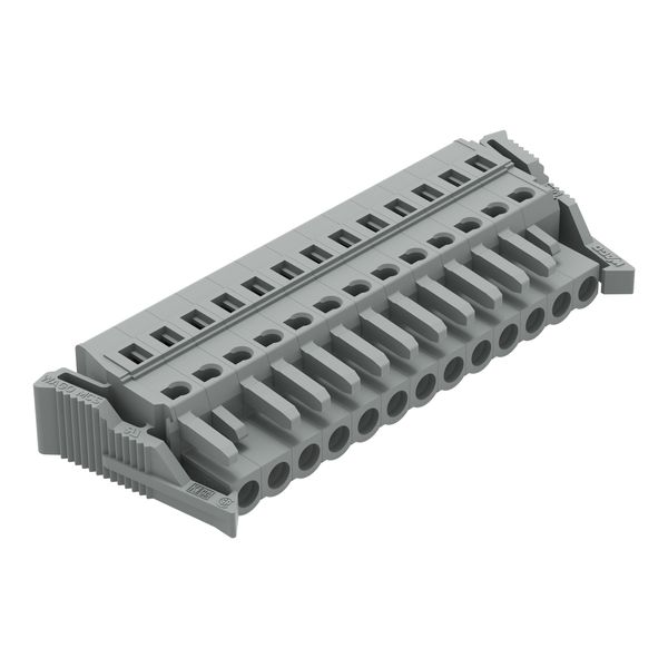 1-conductor female connector CAGE CLAMP® 2.5 mm² gray image 1