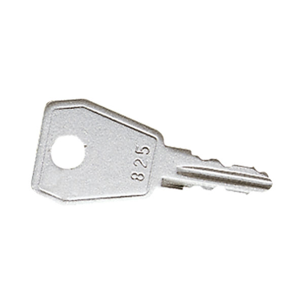 Spare key for all hinged lids with safe. 806SL image 2