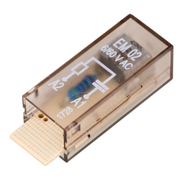 RC Network module 6-60VAC, EM02 image 1