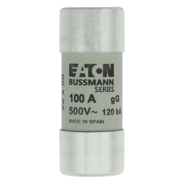 Fuse-link, LV, 100 A, AC 500 V, 22 x 58 mm, gL/gG, IEC image 6