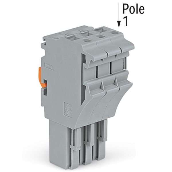 1-conductor female connector Push-in CAGE CLAMP® 4 mm² gray image 2