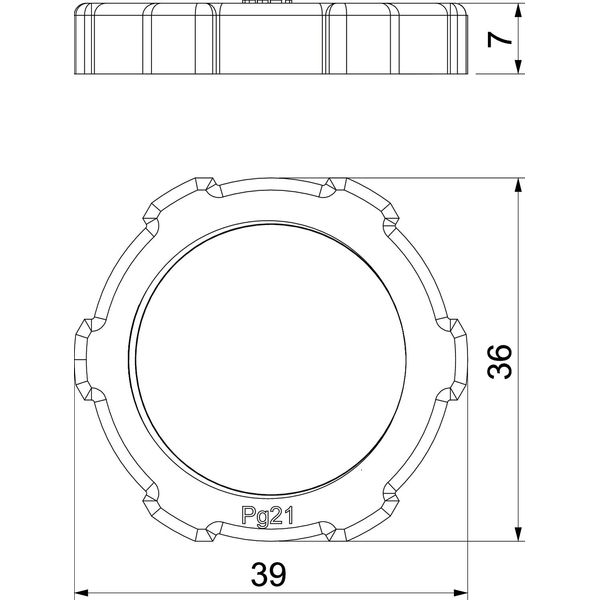 116 VDE PG21 PA Locknut  PG21 image 2