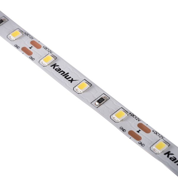 L60 11W/M 12 IP00-CW LED tape image 1