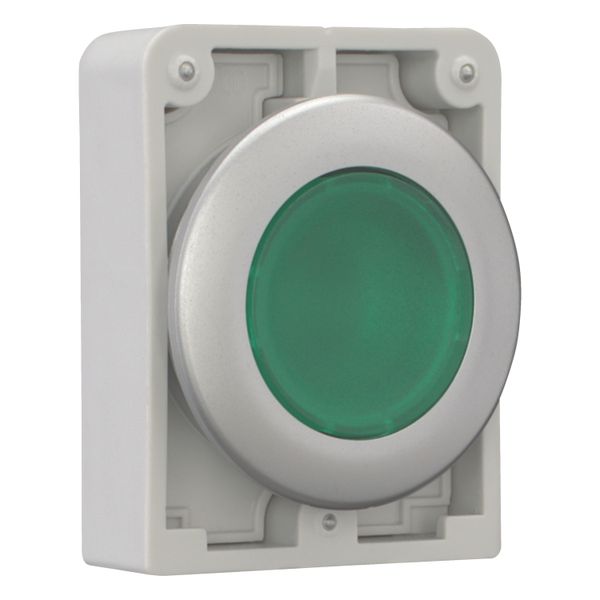 Illuminated pushbutton actuator, RMQ-Titan, Flat, maintained, green, Blank, Metal bezel image 14