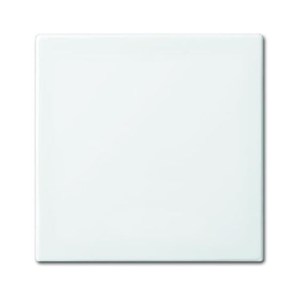 1790-590-914 CoverPlates (partly incl. Insert) Busch-balance® SI Alpine white image 2