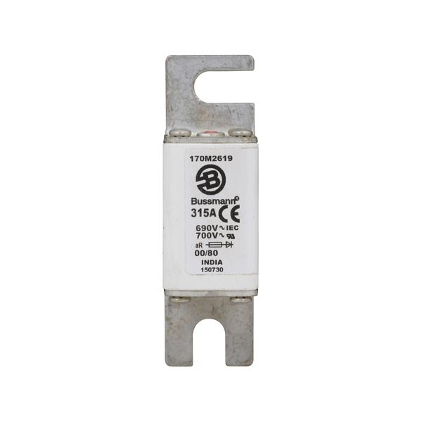 Fuse-link, high speed, 315 A, AC 690 V, DIN 00, 30 x 51 x 100 mm, aR, DIN, IEC, single indicator image 6