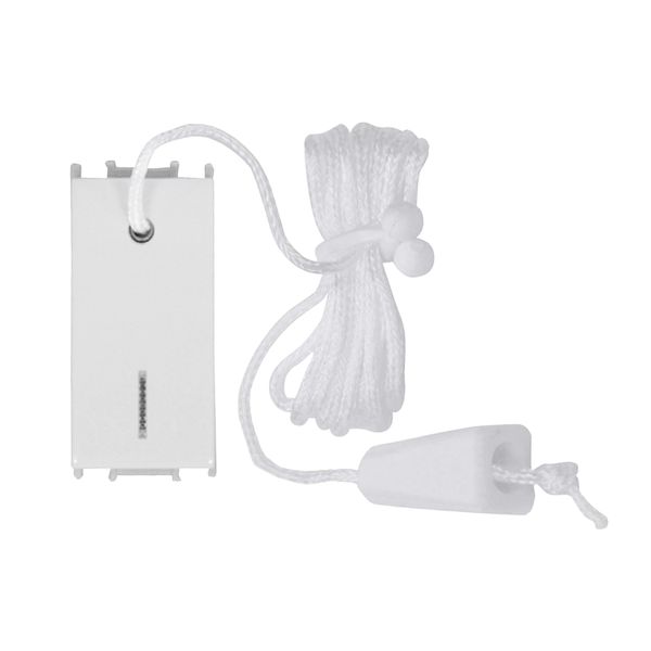 2way push button insert with cord 16A, white image 1