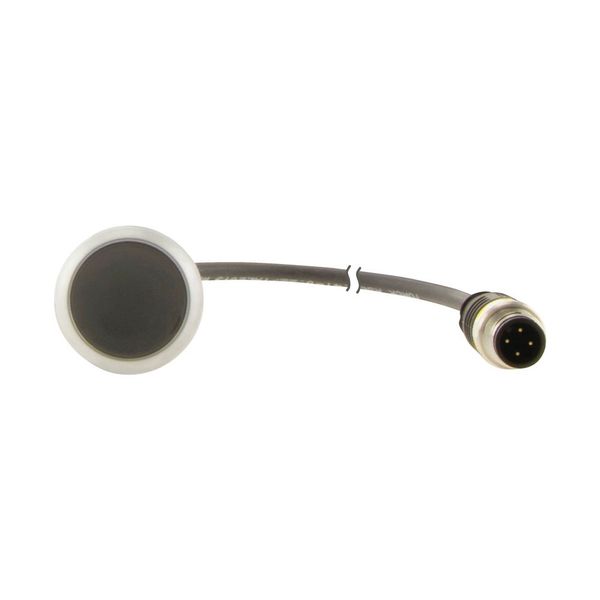 Pushbutton, Flat, momentary, 1 NC, Cable (black) with M12A plug, 4 pole, 0.5 m, black, Blank, Bezel: titanium image 13