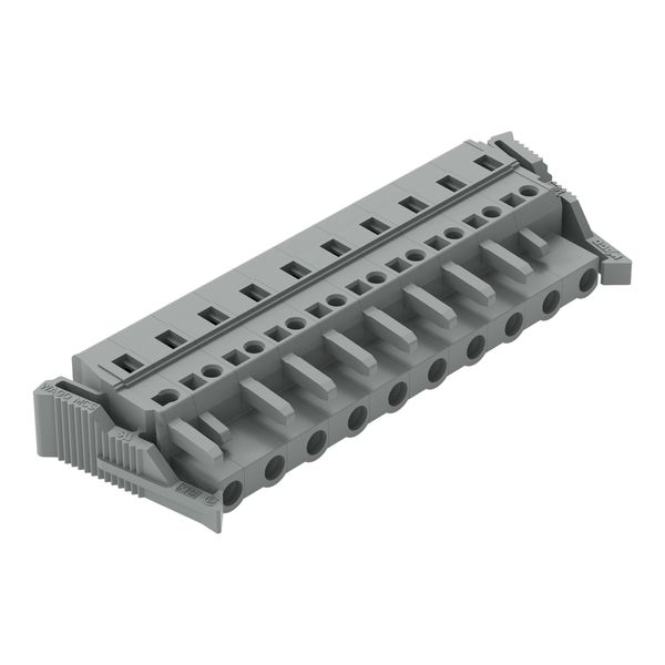 1-conductor female connector CAGE CLAMP® 2.5 mm² gray image 1