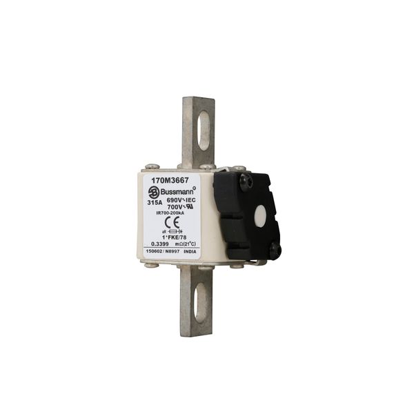 Fuse-link, high speed, 315 A, AC 690 V, compact size 1, 45 x 59 x 110 mm, aR, IEC, UL image 14