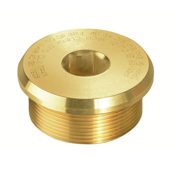 Ex sealing plugs (metal), M 25, 16 mm, Brass image 2