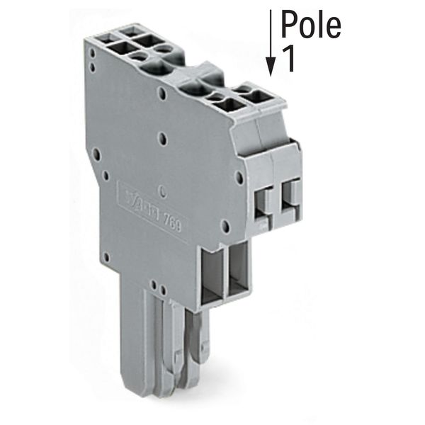 2-conductor female connector CAGE CLAMP® 4 mm² gray image 3