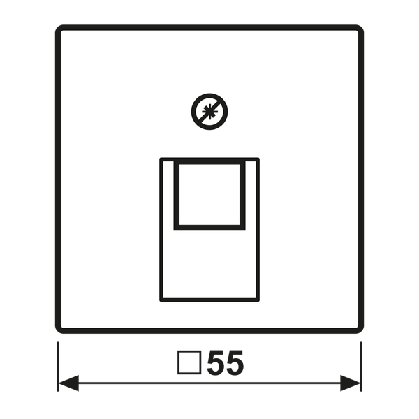 Centre plate for modular jack socket A569-1BFPLUAWW image 6