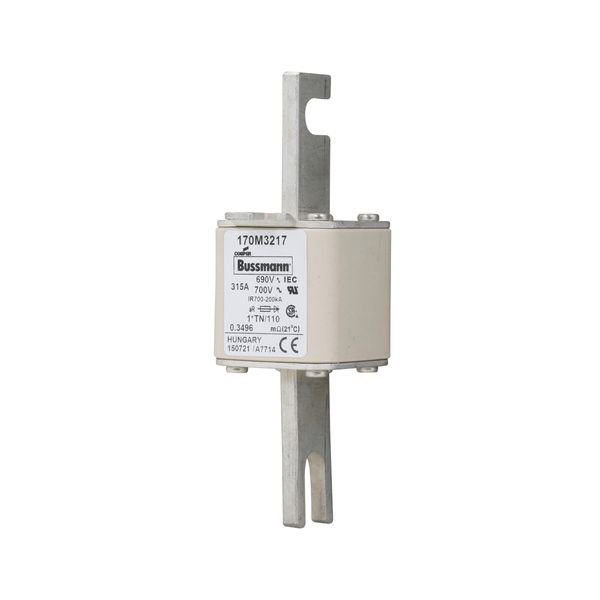 Fuse-link, high speed, 315 A, AC 690 V, compact DIN 1, 45 x 58 x 134 mm, aR, DIN, IEC, single indicator, 80 mm centres image 12