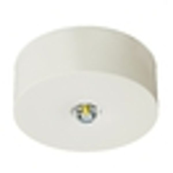 Emerg.lum.IL 1x3W ERT-LED 3h 230V AC Wireless radial surface image 3