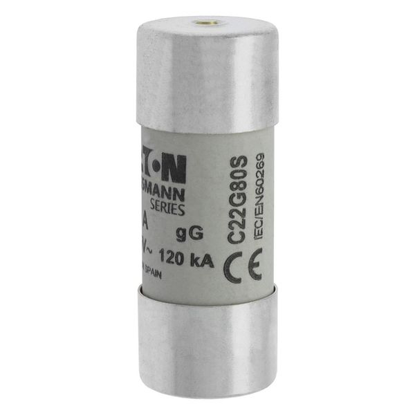Fuse-link, LV, 80 A, AC 500 V, 22 x 58 mm, gL/gG, IEC, with striker image 16