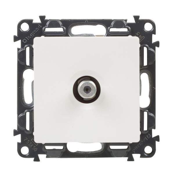 F-TYPE TV SOCKET STAR WHITE VALENA LIFE image 2