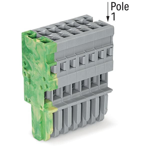 1-conductor female connector CAGE CLAMP® 4 mm² gray, green-yellow image 1