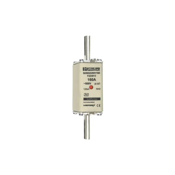 Fuse-link NH0 gG 500VAC 160A live tags Double indicator image 2