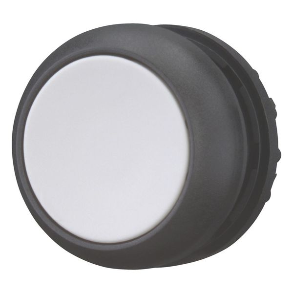 Pushbutton, RMQ-Titan, Flat, momentary, gray, Blank, Bezel: black image 6