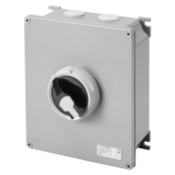 ROTATORY ISOLATOR - HP- SURFACE-MOUNTING - COMMAND - METAL BOX - 63A 4P - LOCKABLE BLACK KNOB - IP66 image 1