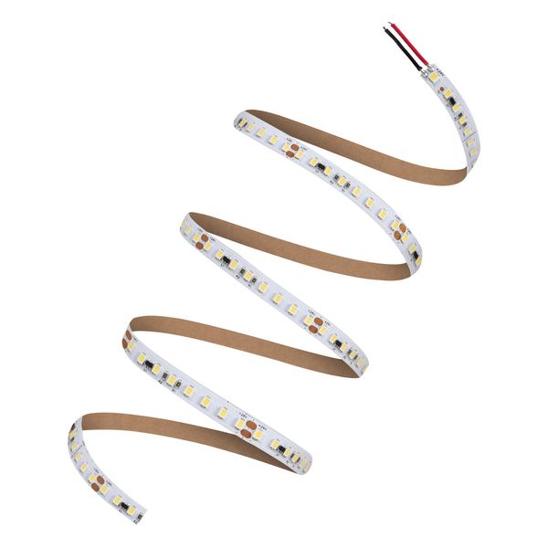 LED STRIP P 2000 -2000/940/5 image 5