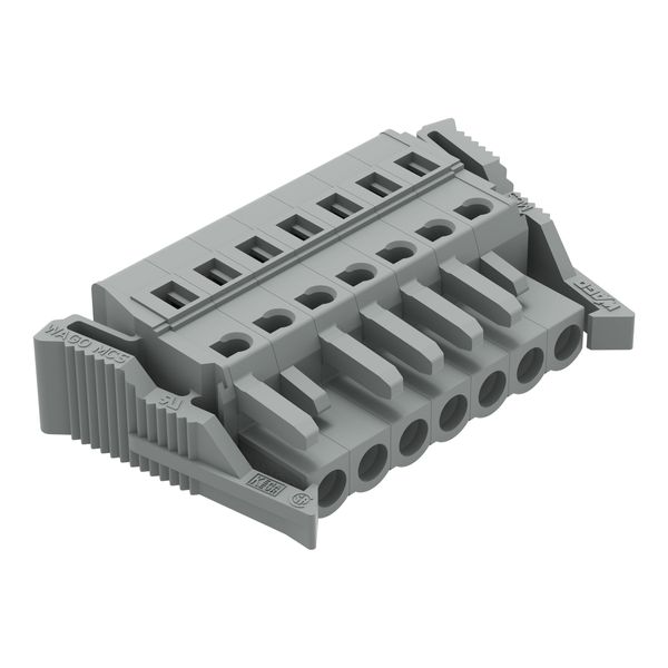 1-conductor female connector CAGE CLAMP® 2.5 mm² gray image 1