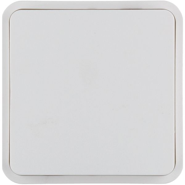 Rocker 1gang for W.1 push-button BCU, polar white image 1