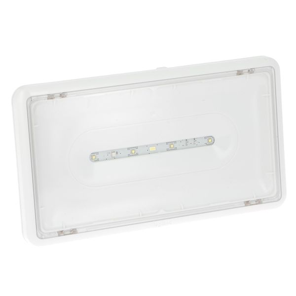 LSC AMBIANCE A LEDS PLASTIQUE IP43 IK07 24VDC image 1