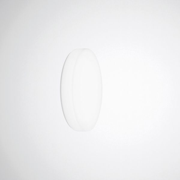 Wall and ceiling luminaire Olisq R Diffuser White around ET 16W 2000lm Lambertian (L) IP40 IK03 3 SDCM image 1