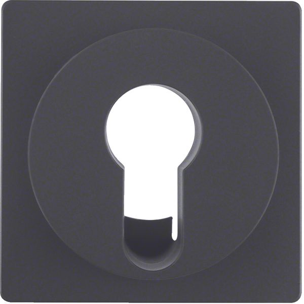 Centre plate for key switch/key push-button, Q.1/Q.3, ant. velvety, la image 1