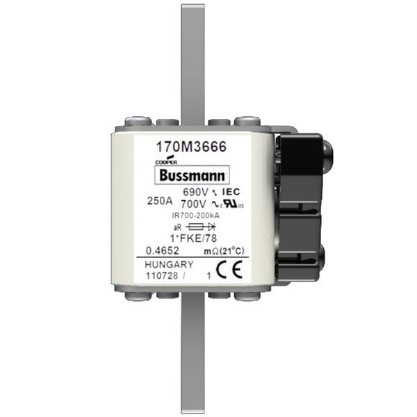 Fuse-link, high speed, 250 A, AC 690 V, compact size 1, 45 x 59 x 110 mm, aR, IEC, UL image 1