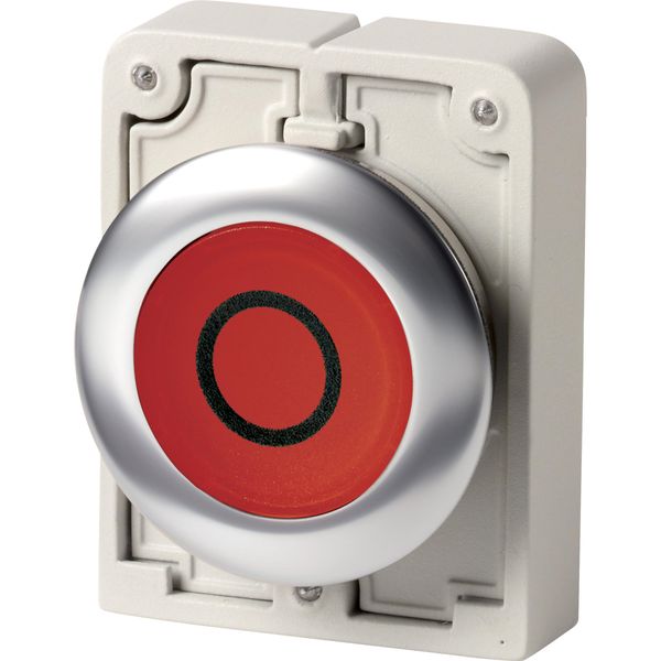 Illuminated pushbutton actuator, RMQ-Titan, flat, momentary, red, inscribed, Front ring stainless steel image 3