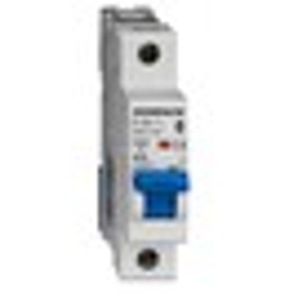 Miniature Circuit Breaker (MCB) AMPARO 10kA, C 25A, 1-pole image 6