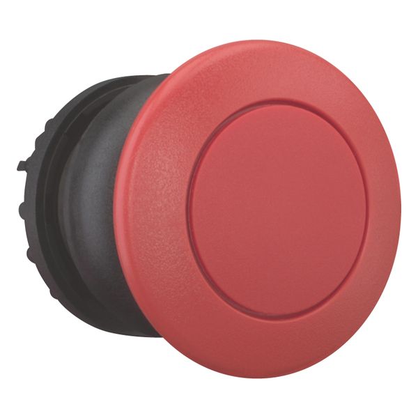 Mushroom actuator, RMQ-Titan, Mushroom, momentary, Mushroom red, red, Blank, Bezel: black image 7