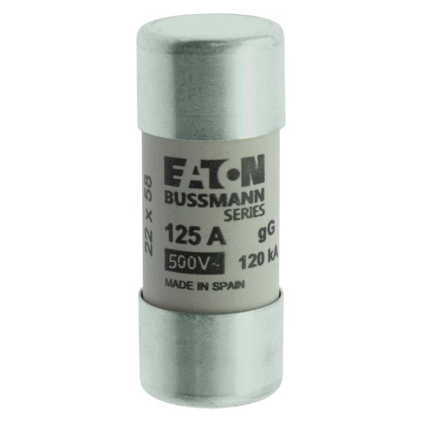 Fuse-link, LV, 125 A, AC 400 V, 22 x 58 mm, gL/gG, IEC image 16