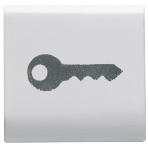 INTERCHANGEABLE BUTTON KEY - 22X22mm - KEY - GLOSSY WHITE - CHORUSMART image 1