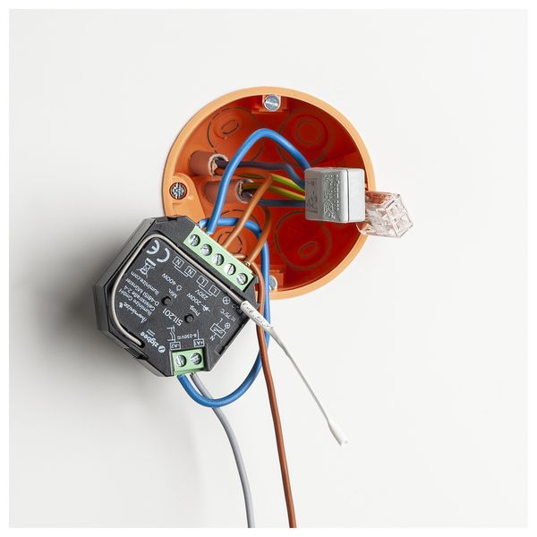 Valeto Phase Cut Zigbee Dimming Module with push switch image 3