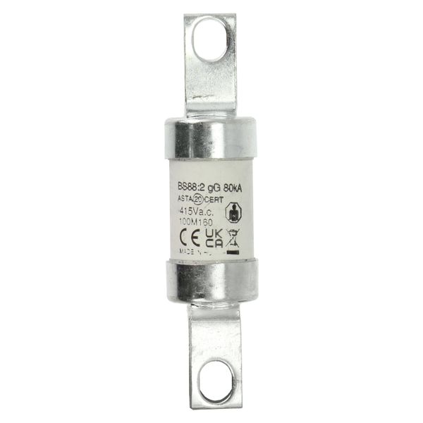 Fuse-link, LV, 100 A, AC 415 V, BS88/A4, 27 x 110 mm, gM, BS, 100M160 image 15