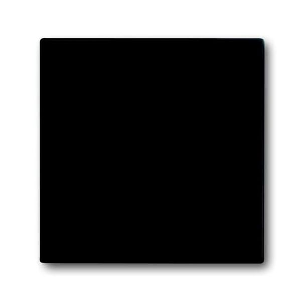 2190 EUC-885 CoverPlates (partly incl. Insert) Hotel application black matt image 1
