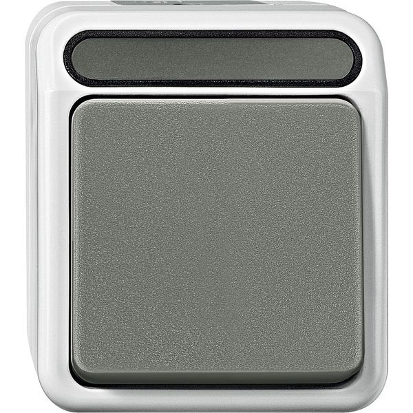 Cross switch, 1-pole, light gray, AQUASTAR image 1