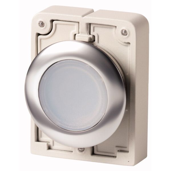 Illuminated pushbutton actuator, RMQ-Titan, flat, maintained, White, blank, Front ring stainless steel image 1