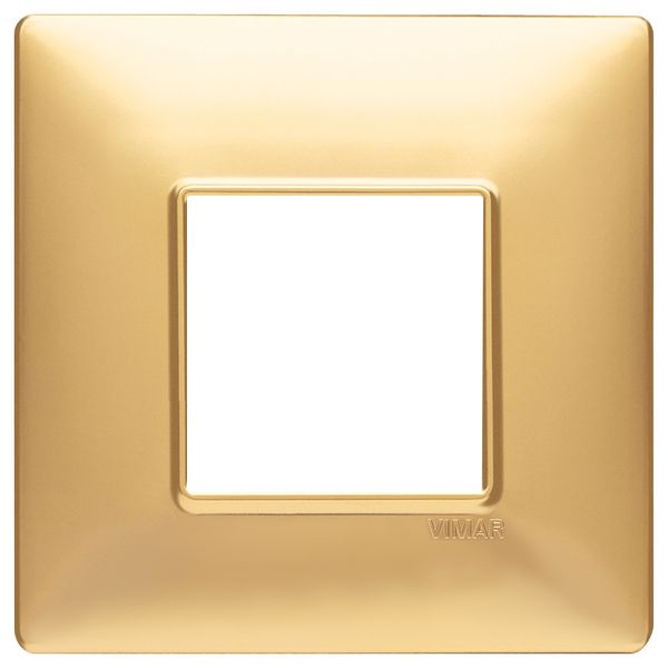 Plate 2M BS techn. matt gold image 1