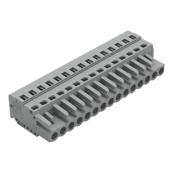 1-conductor female connector CAGE CLAMP® 2.5 mm² gray image 1